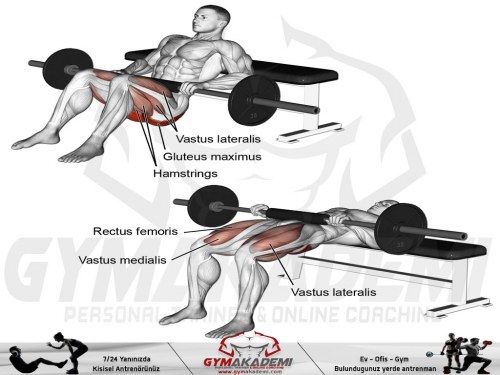 Barbell Hip Thrust