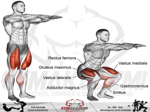 Bodyweight squat