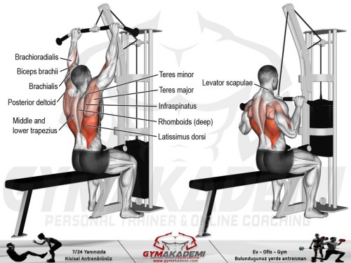 Lat Pull Down