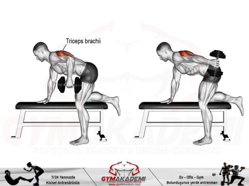 Dumbbell kickback