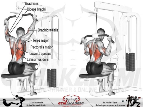 Back Lat Pulldown