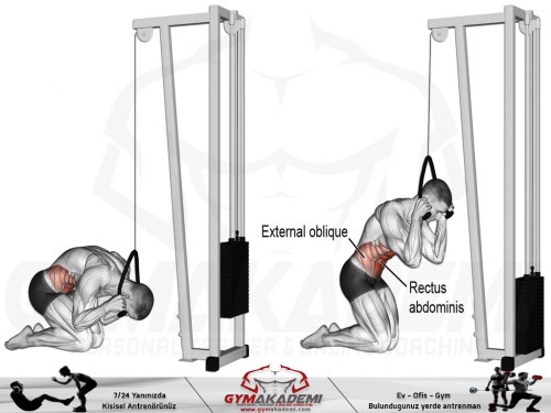 Kneeling cable crunch