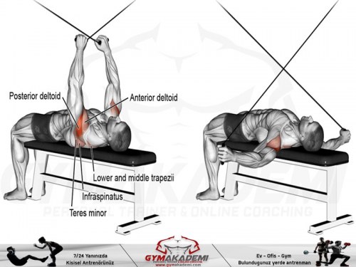 Supine Cable Reverse Fly