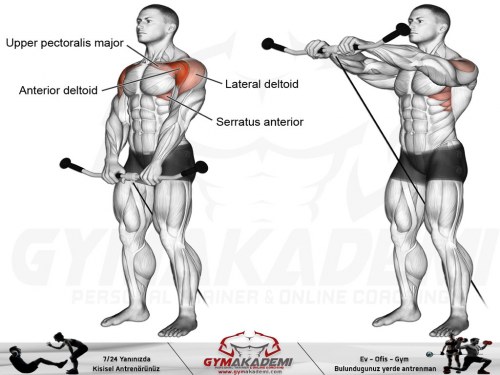 Cable front raise