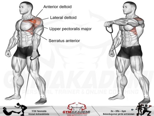Cable one-arm front raise
