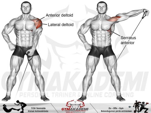 One Arm Cable Lateral Raise
