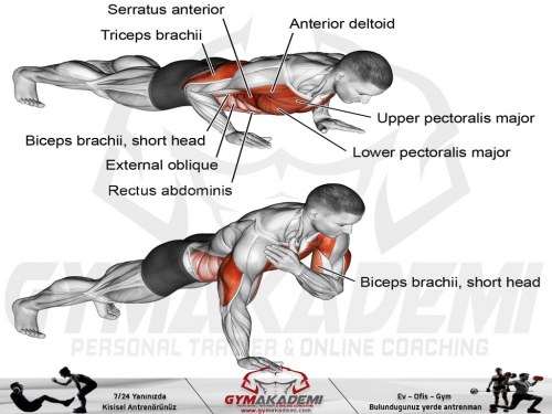 Shoulder tap push-up