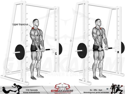 Smith machine shrug