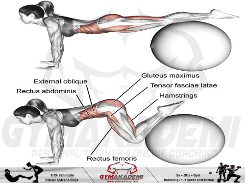 Stability ball jackknife
