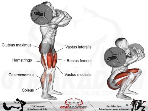 Barbell front squat