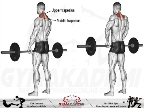 Barbell shrug