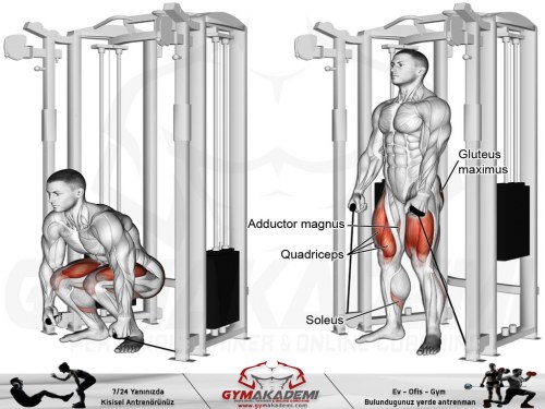 Cable squat
