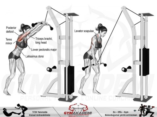 Cable straight-arm pull-down