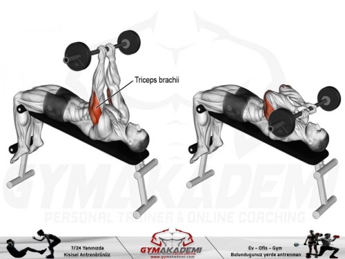 Decline EZ bar skull crusher