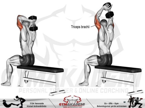 Dumbbell Incline Triceps Extension