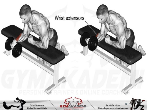 Dumbbell one-arm reverse wrist curl