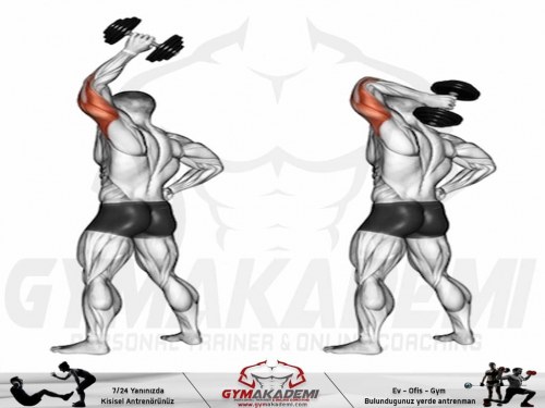 One Arm Dumbbell Triceps Extension