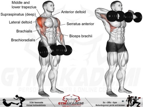 Dumbbell wide-grip upright row