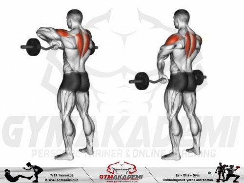 EZ-bar upright row