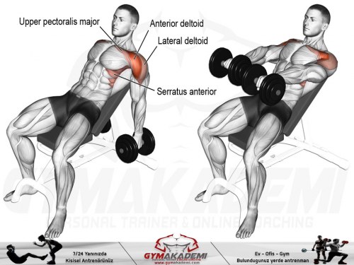 Incline dumbbell front raise