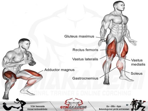 Jump Squat