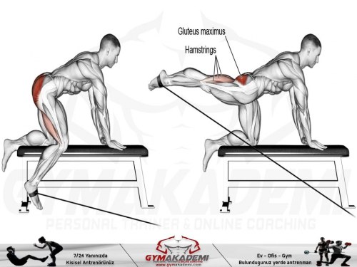 Kneeling cable hip extension