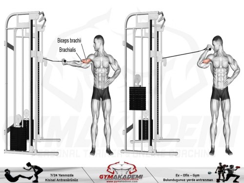 One-arm overhead cable curl