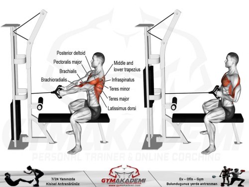 Straight-back seated cable row
