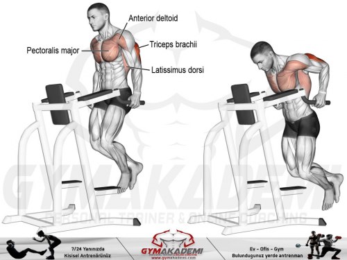 Triceps dip