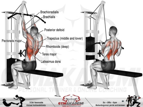 Underhand Lat pull down