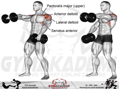 Front dumbbell raise