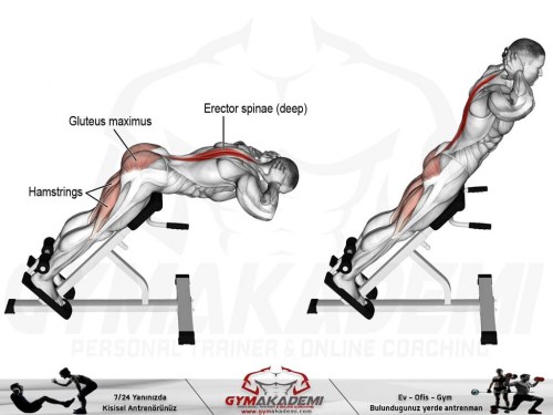 Hyperextension