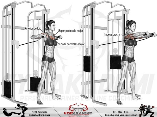 Standing Cable Chest Press