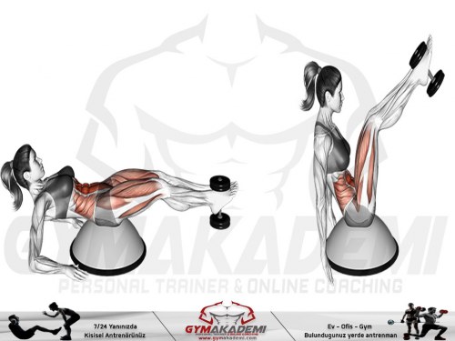 Bosu Ball Weighted V Crunch