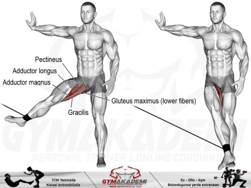 Cable hip adduction