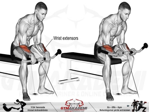 Cable reverse wrist curl
