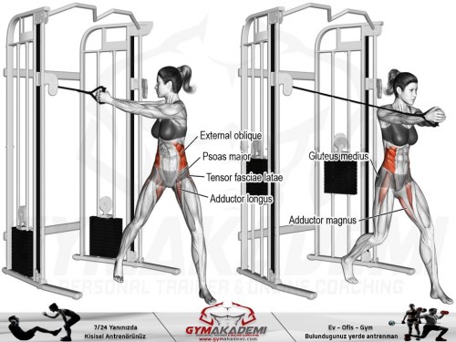 Cable Oblique Twist