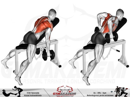 Incline Dumbbell Hammer Bench Row