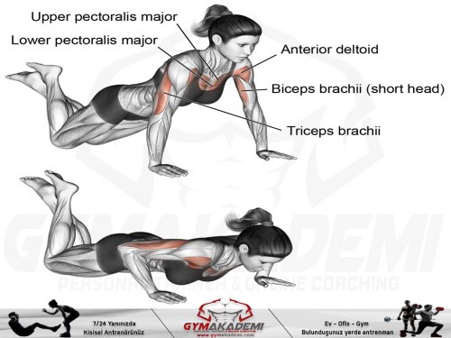 Knee push-up