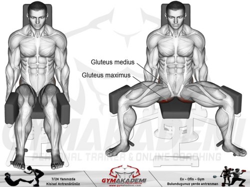 Machine seated hip abduction