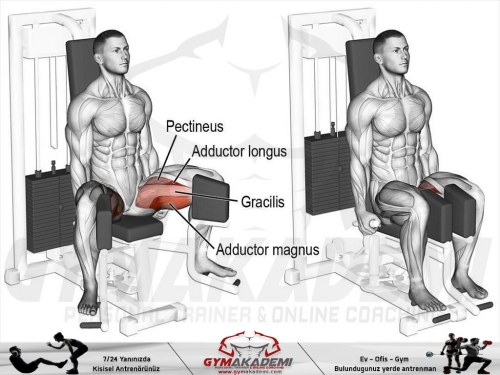 Machine seated hip adduction