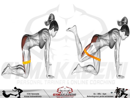 Resistance Band Bent Leg Kickback