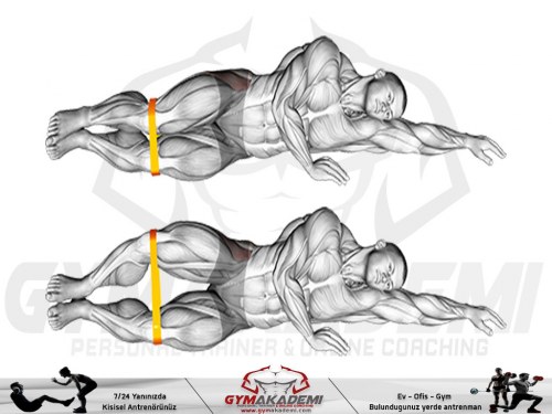 Resistance Band Clam Shells