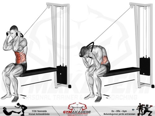 Seated Cable Crunch