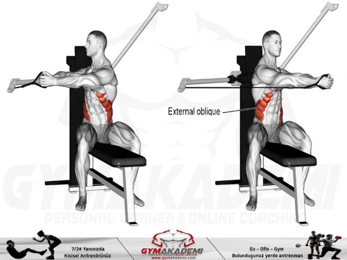 Seated cable Oblique twist