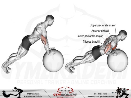 Stability ball push-up