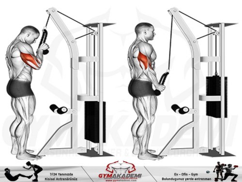 Standing One Arm Tricep Pushdowns