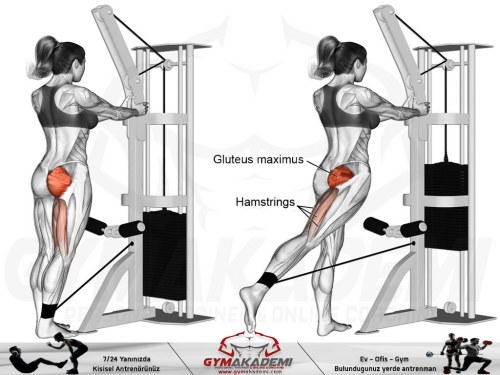 Standing cable hip extension