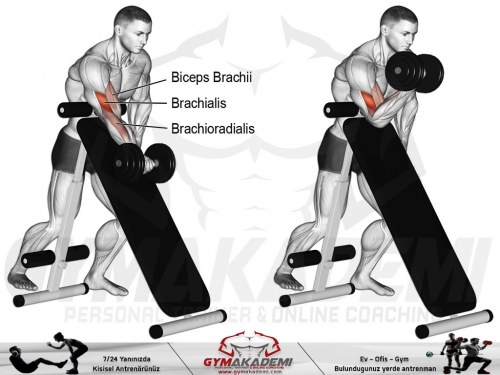 Standing dumbbell preacher curl