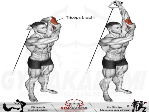 Standing overhead one-arm cable triceps extension